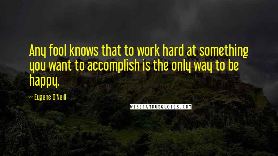 Eugene O'Neill Quotes: Any fool knows that to work hard at something you want to accomplish is the only way to be happy.