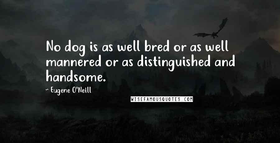 Eugene O'Neill Quotes: No dog is as well bred or as well mannered or as distinguished and handsome.