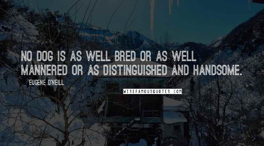 Eugene O'Neill Quotes: No dog is as well bred or as well mannered or as distinguished and handsome.