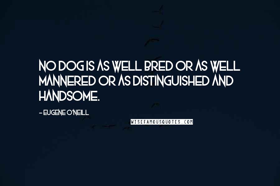 Eugene O'Neill Quotes: No dog is as well bred or as well mannered or as distinguished and handsome.