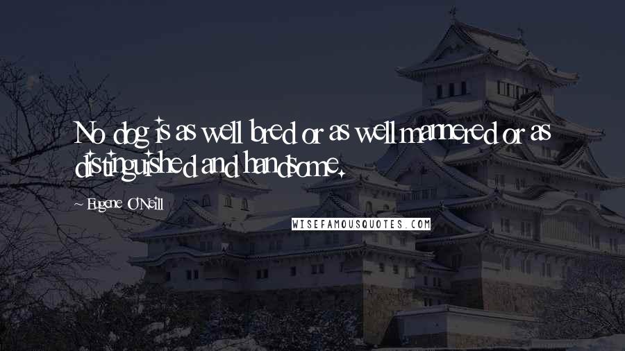Eugene O'Neill Quotes: No dog is as well bred or as well mannered or as distinguished and handsome.