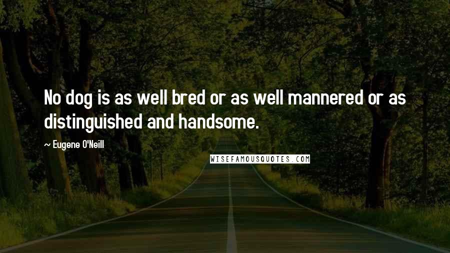 Eugene O'Neill Quotes: No dog is as well bred or as well mannered or as distinguished and handsome.