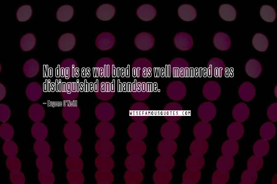 Eugene O'Neill Quotes: No dog is as well bred or as well mannered or as distinguished and handsome.