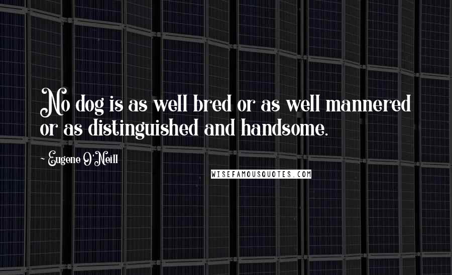 Eugene O'Neill Quotes: No dog is as well bred or as well mannered or as distinguished and handsome.