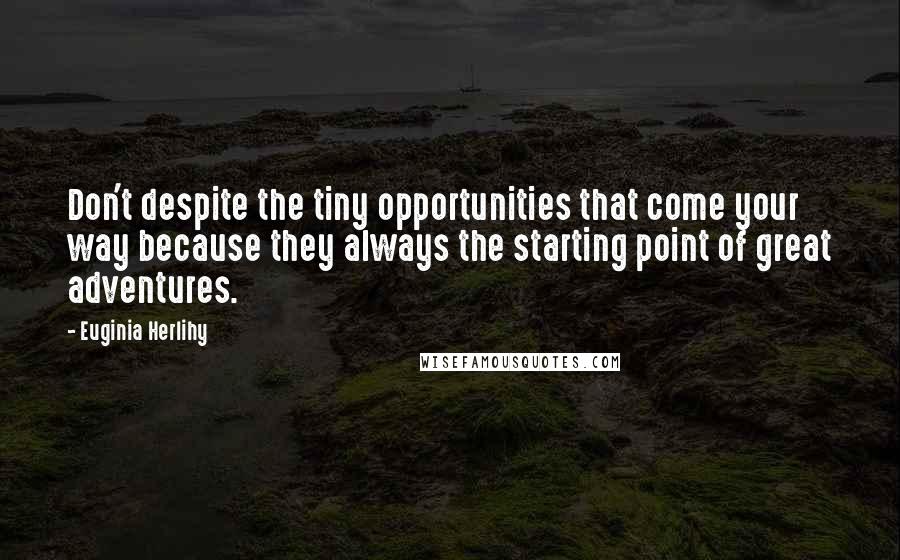 Euginia Herlihy Quotes: Don't despite the tiny opportunities that come your way because they always the starting point of great adventures.