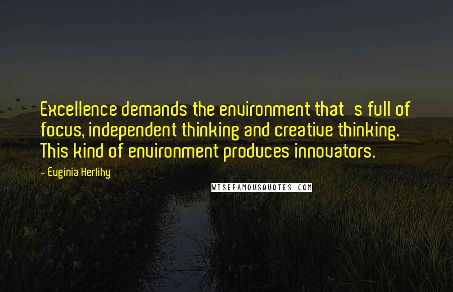 Euginia Herlihy Quotes: Excellence demands the environment that's full of focus, independent thinking and creative thinking. This kind of environment produces innovators.