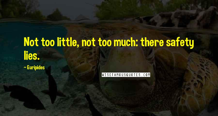 Euripides Quotes: Not too little, not too much: there safety lies.