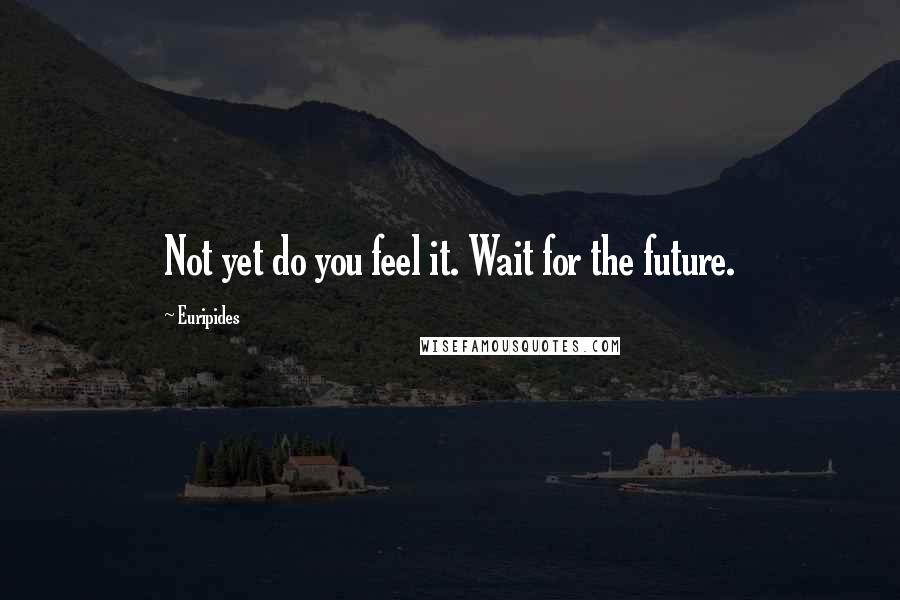 Euripides Quotes: Not yet do you feel it. Wait for the future.