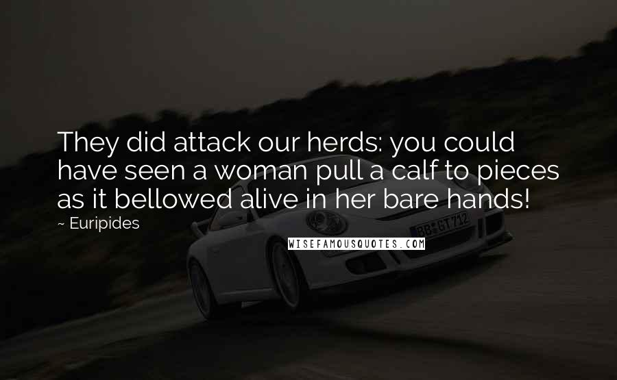 Euripides Quotes: They did attack our herds: you could have seen a woman pull a calf to pieces as it bellowed alive in her bare hands!