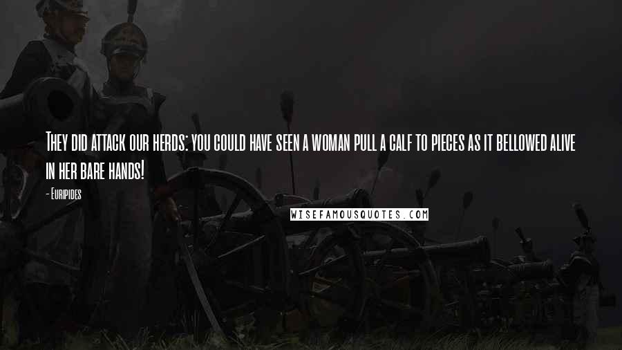 Euripides Quotes: They did attack our herds: you could have seen a woman pull a calf to pieces as it bellowed alive in her bare hands!
