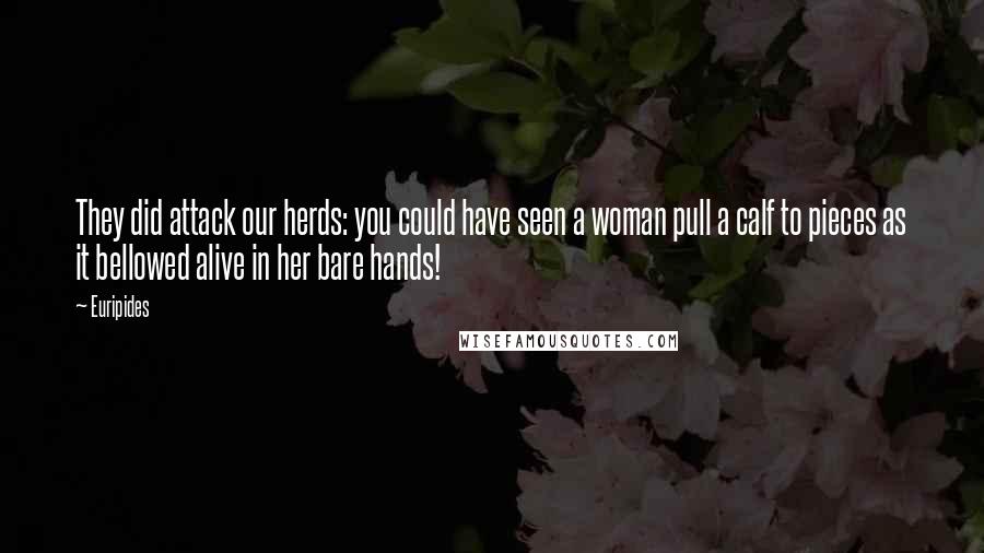 Euripides Quotes: They did attack our herds: you could have seen a woman pull a calf to pieces as it bellowed alive in her bare hands!