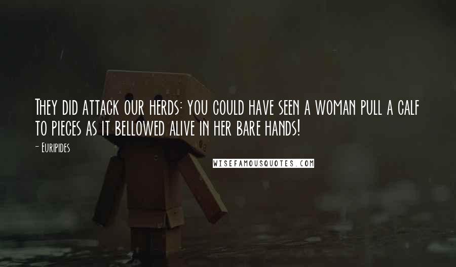 Euripides Quotes: They did attack our herds: you could have seen a woman pull a calf to pieces as it bellowed alive in her bare hands!