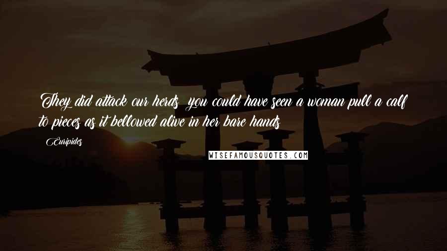 Euripides Quotes: They did attack our herds: you could have seen a woman pull a calf to pieces as it bellowed alive in her bare hands!