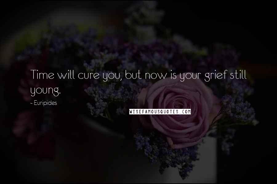 Euripides Quotes: Time will cure you, but now is your grief still young.