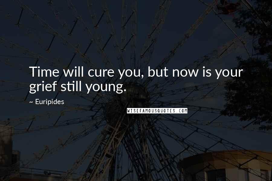 Euripides Quotes: Time will cure you, but now is your grief still young.