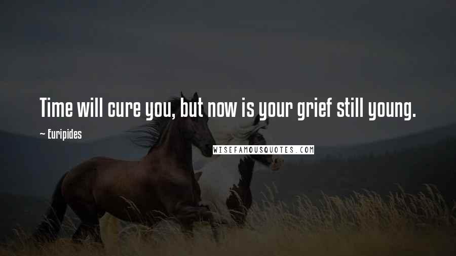 Euripides Quotes: Time will cure you, but now is your grief still young.