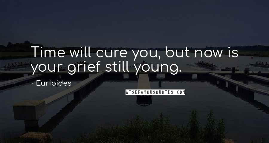Euripides Quotes: Time will cure you, but now is your grief still young.