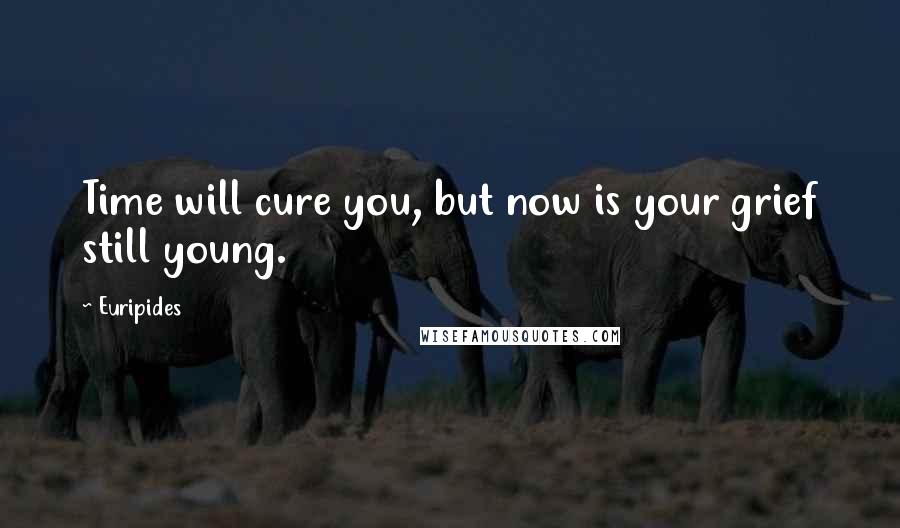 Euripides Quotes: Time will cure you, but now is your grief still young.