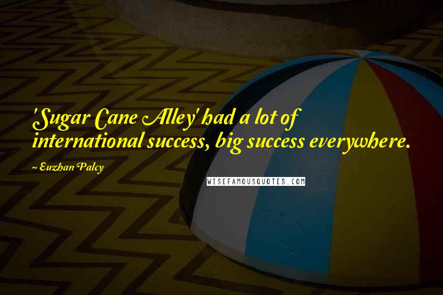Euzhan Palcy Quotes: 'Sugar Cane Alley' had a lot of international success, big success everywhere.