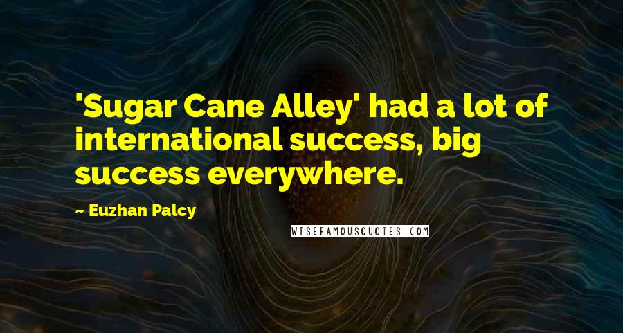 Euzhan Palcy Quotes: 'Sugar Cane Alley' had a lot of international success, big success everywhere.