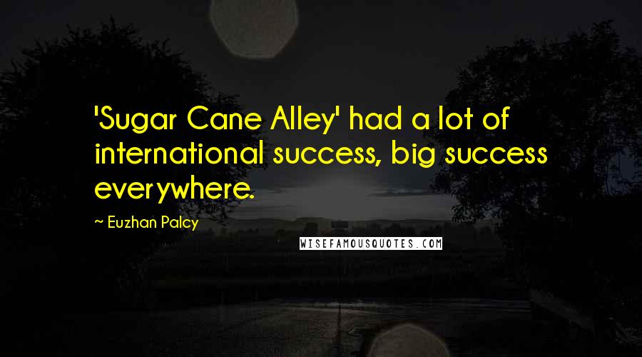 Euzhan Palcy Quotes: 'Sugar Cane Alley' had a lot of international success, big success everywhere.