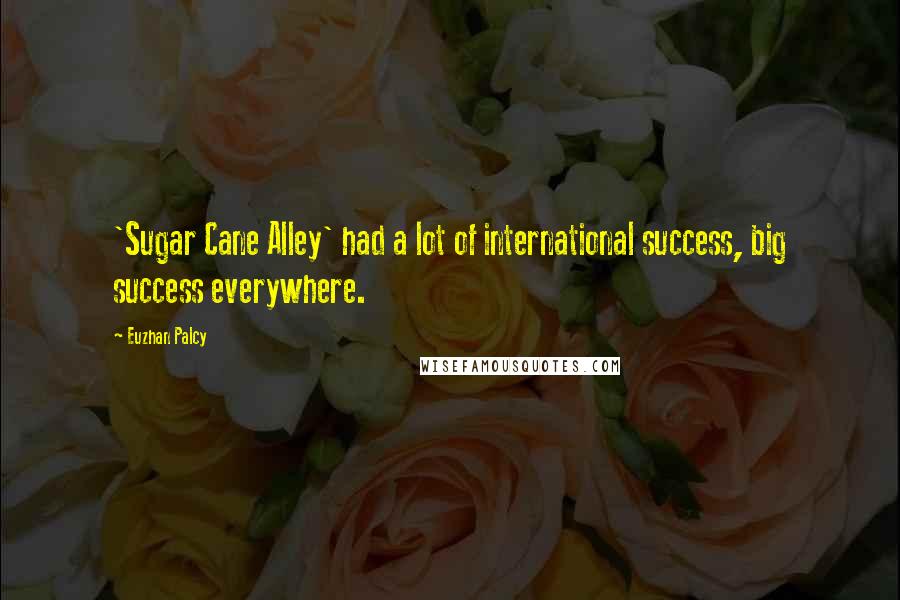 Euzhan Palcy Quotes: 'Sugar Cane Alley' had a lot of international success, big success everywhere.