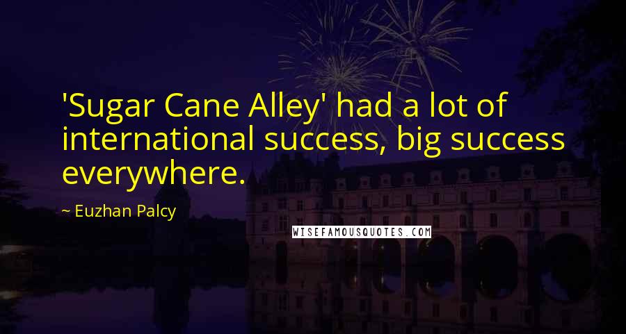 Euzhan Palcy Quotes: 'Sugar Cane Alley' had a lot of international success, big success everywhere.