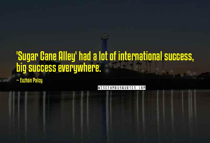 Euzhan Palcy Quotes: 'Sugar Cane Alley' had a lot of international success, big success everywhere.