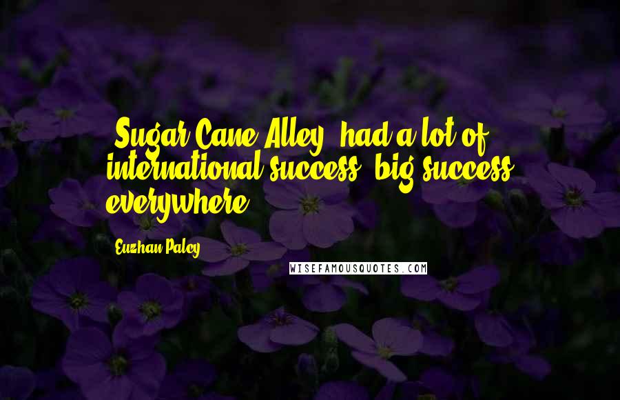 Euzhan Palcy Quotes: 'Sugar Cane Alley' had a lot of international success, big success everywhere.