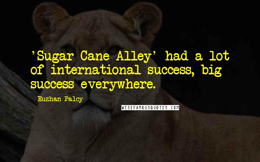 Euzhan Palcy Quotes: 'Sugar Cane Alley' had a lot of international success, big success everywhere.