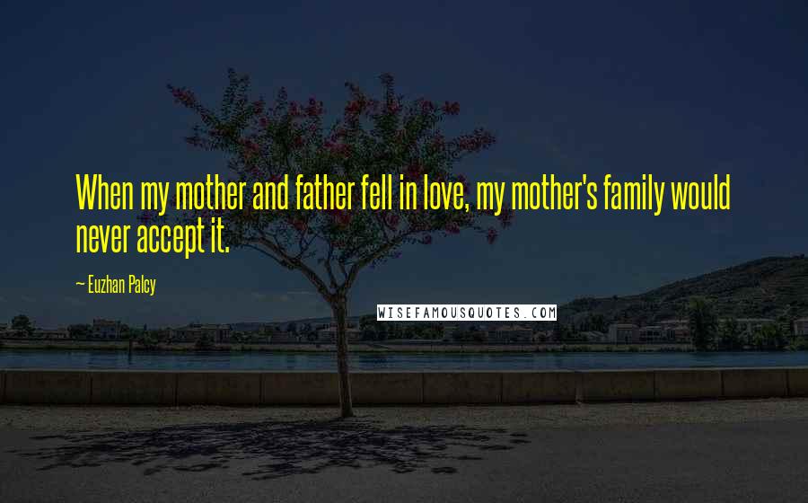 Euzhan Palcy Quotes: When my mother and father fell in love, my mother's family would never accept it.