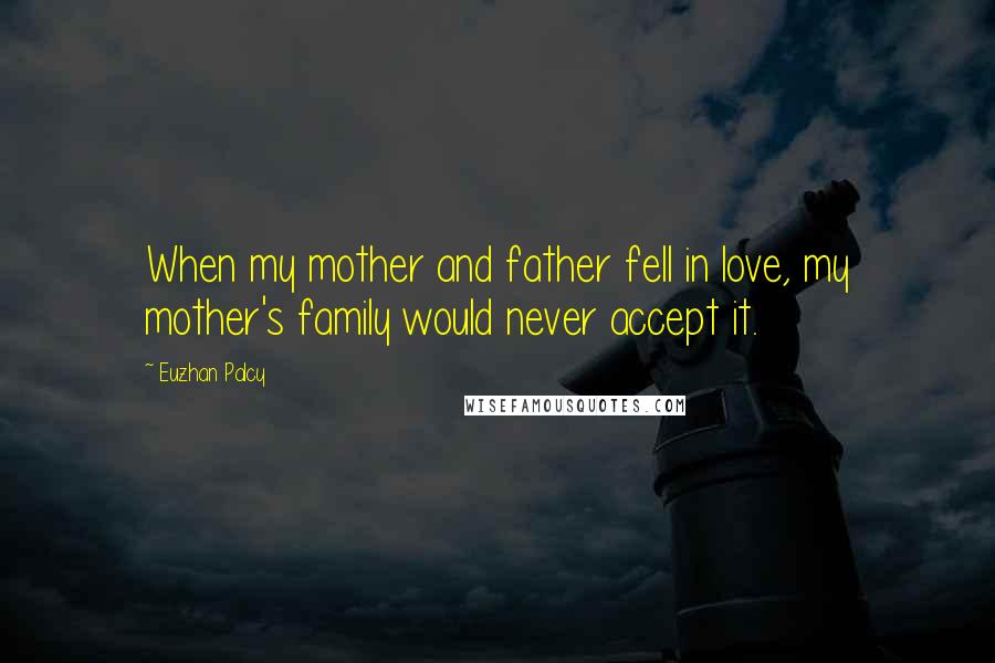 Euzhan Palcy Quotes: When my mother and father fell in love, my mother's family would never accept it.