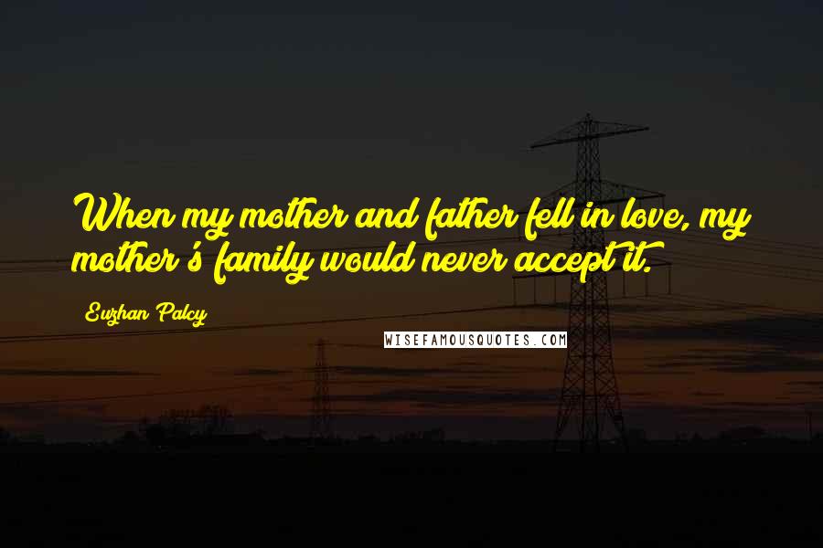 Euzhan Palcy Quotes: When my mother and father fell in love, my mother's family would never accept it.