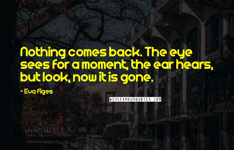 Eva Figes Quotes: Nothing comes back. The eye sees for a moment, the ear hears, but look, now it is gone.