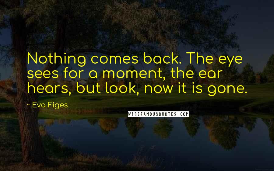 Eva Figes Quotes: Nothing comes back. The eye sees for a moment, the ear hears, but look, now it is gone.