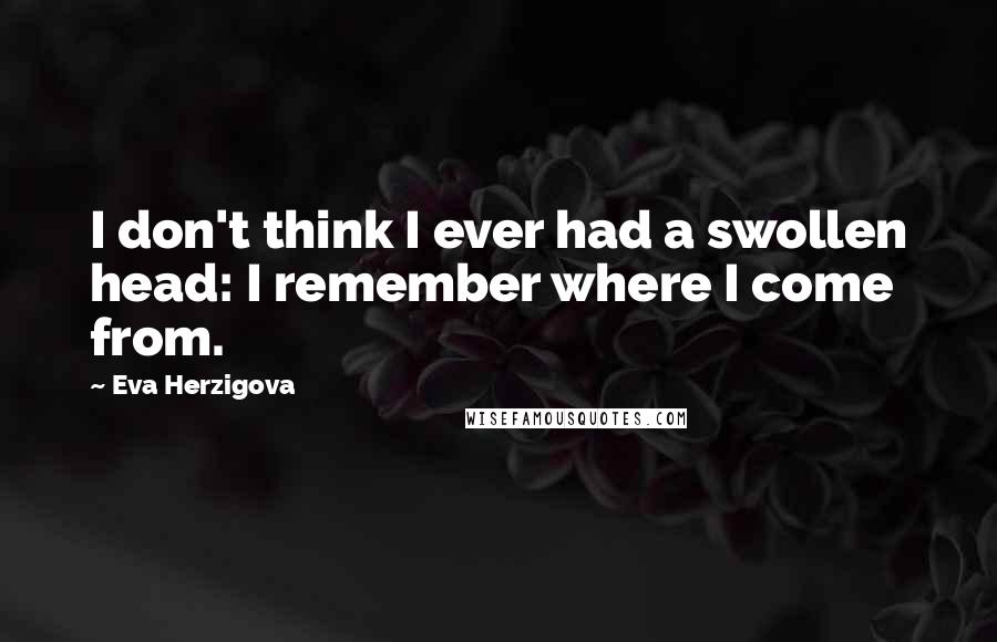 Eva Herzigova Quotes: I don't think I ever had a swollen head: I remember where I come from.