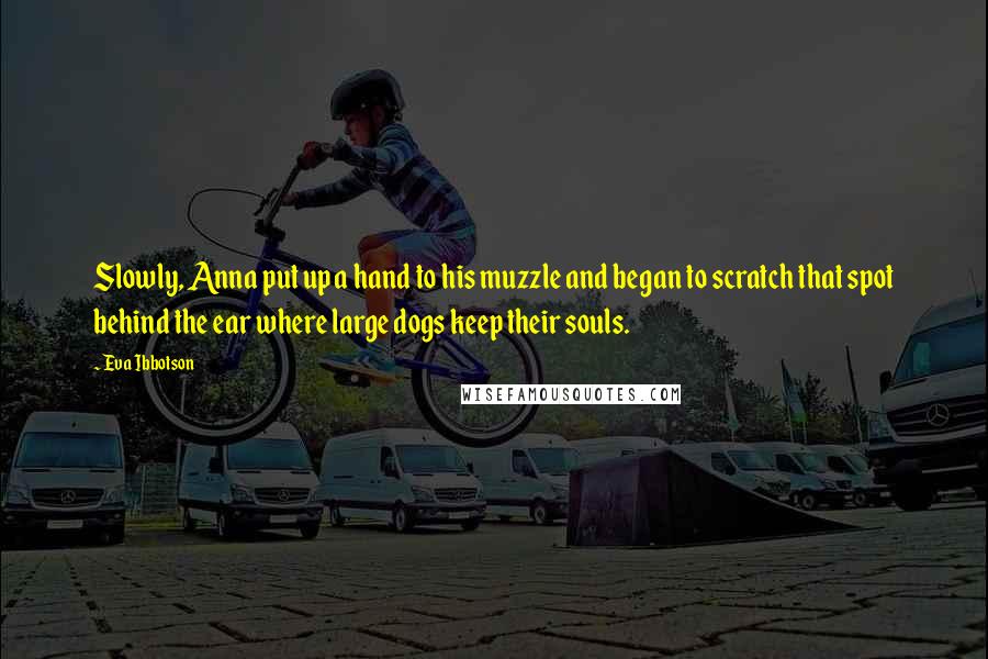 Eva Ibbotson Quotes: Slowly, Anna put up a hand to his muzzle and began to scratch that spot behind the ear where large dogs keep their souls.