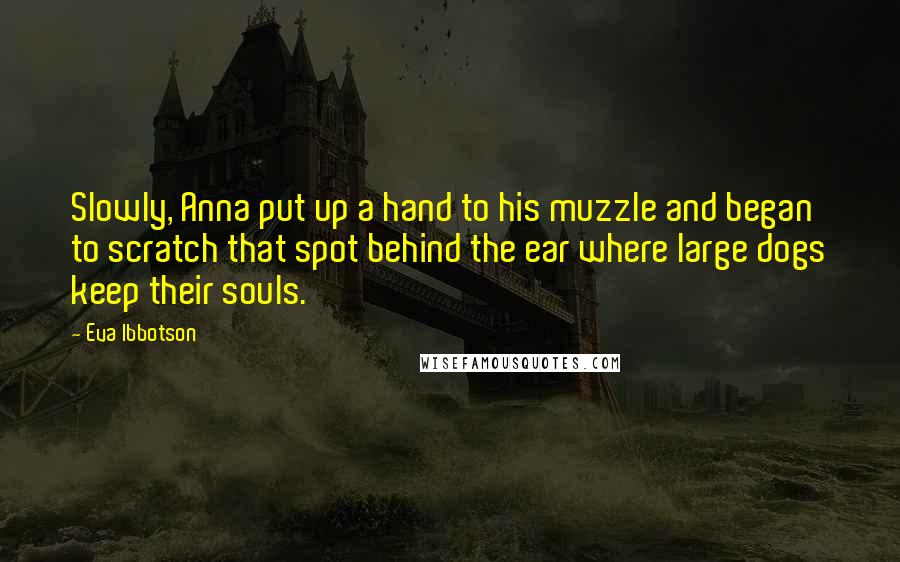 Eva Ibbotson Quotes: Slowly, Anna put up a hand to his muzzle and began to scratch that spot behind the ear where large dogs keep their souls.