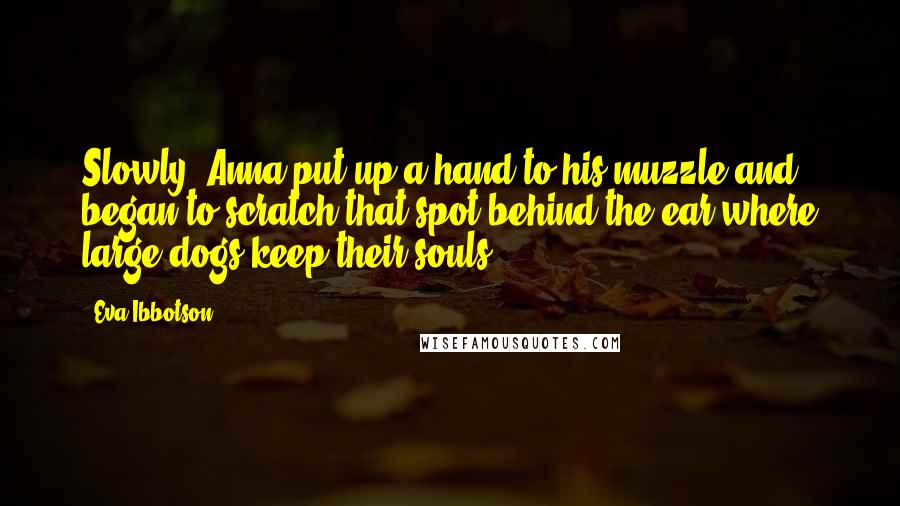 Eva Ibbotson Quotes: Slowly, Anna put up a hand to his muzzle and began to scratch that spot behind the ear where large dogs keep their souls.