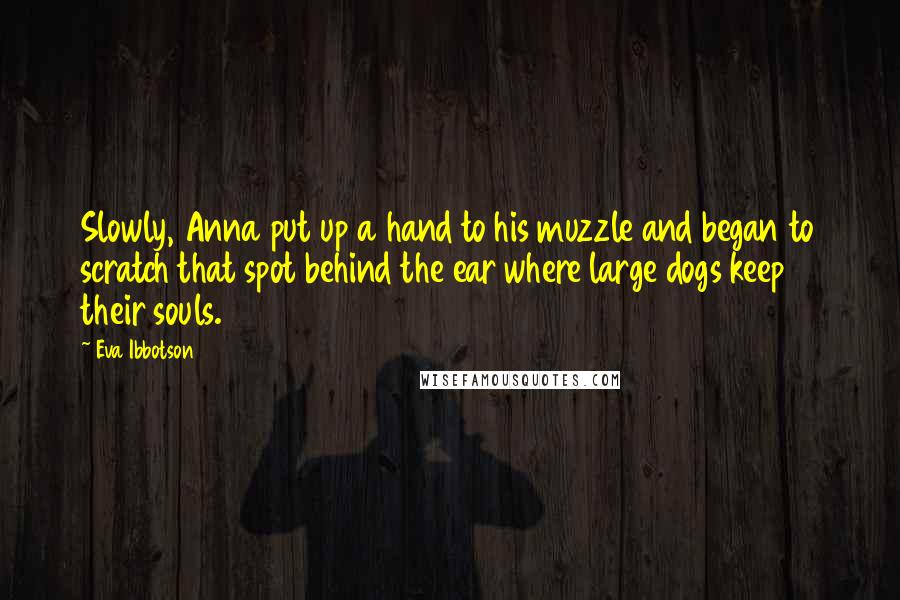 Eva Ibbotson Quotes: Slowly, Anna put up a hand to his muzzle and began to scratch that spot behind the ear where large dogs keep their souls.