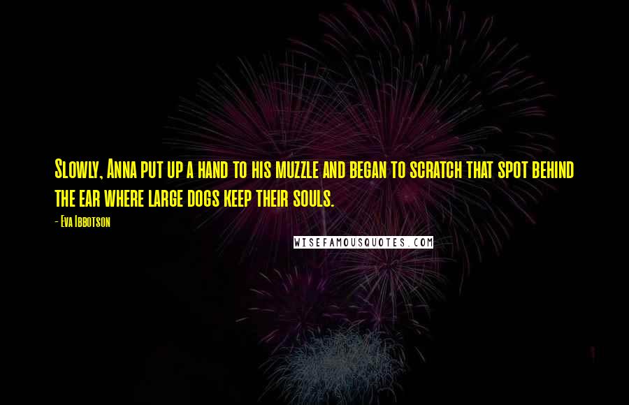 Eva Ibbotson Quotes: Slowly, Anna put up a hand to his muzzle and began to scratch that spot behind the ear where large dogs keep their souls.