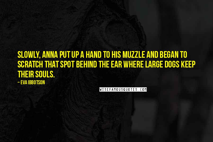 Eva Ibbotson Quotes: Slowly, Anna put up a hand to his muzzle and began to scratch that spot behind the ear where large dogs keep their souls.