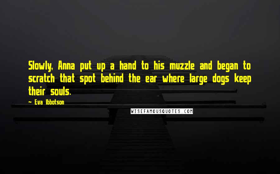 Eva Ibbotson Quotes: Slowly, Anna put up a hand to his muzzle and began to scratch that spot behind the ear where large dogs keep their souls.