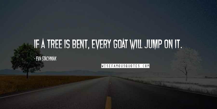 Eva Stachniak Quotes: If a tree is bent, every goat will jump on it.