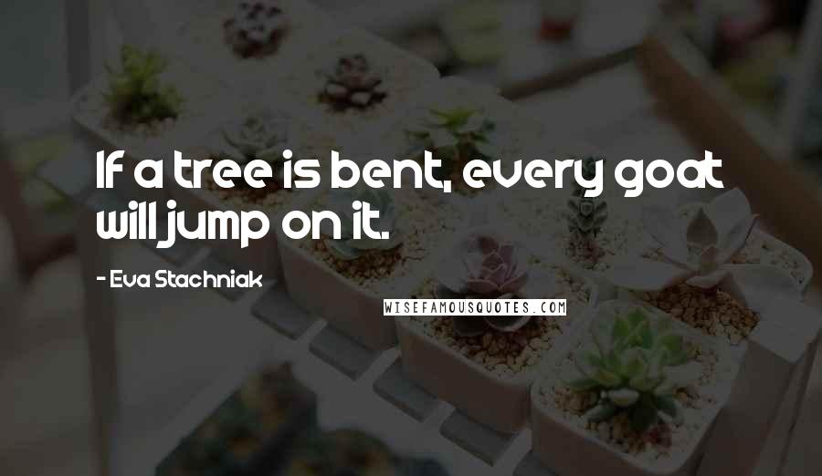 Eva Stachniak Quotes: If a tree is bent, every goat will jump on it.