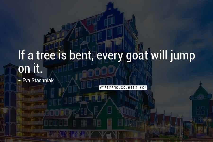 Eva Stachniak Quotes: If a tree is bent, every goat will jump on it.