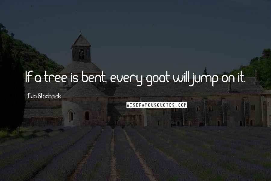 Eva Stachniak Quotes: If a tree is bent, every goat will jump on it.