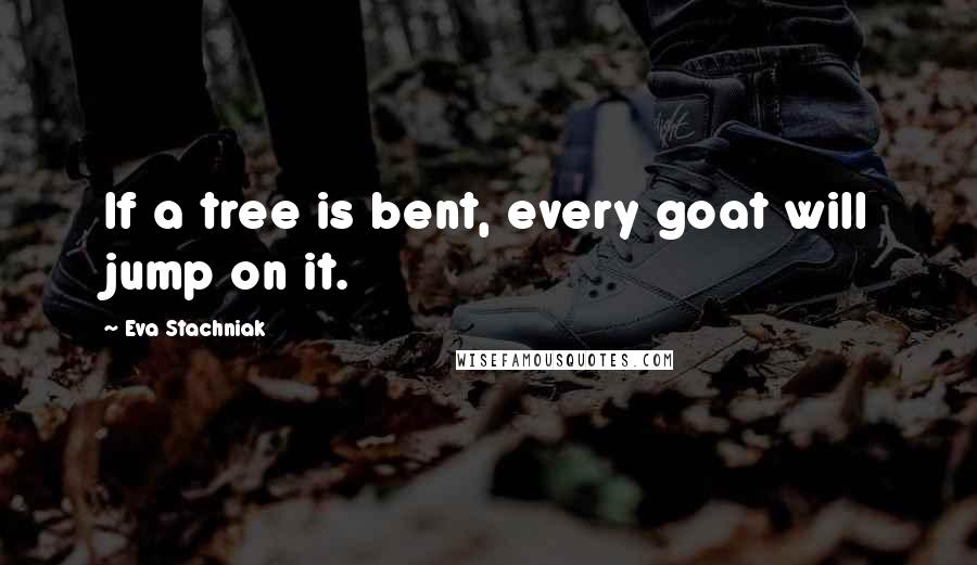 Eva Stachniak Quotes: If a tree is bent, every goat will jump on it.