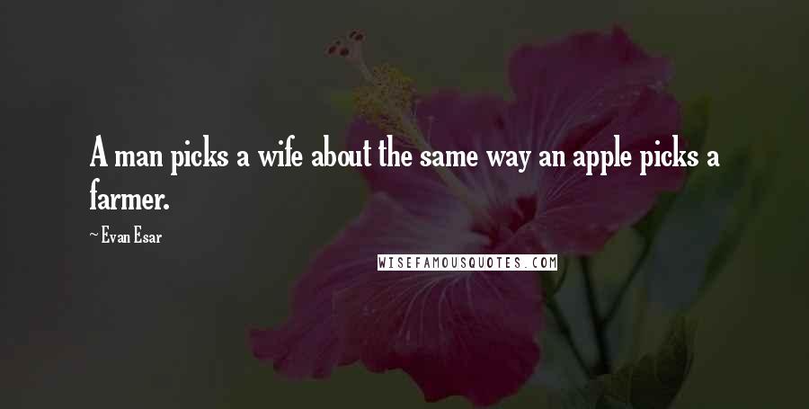 Evan Esar Quotes: A man picks a wife about the same way an apple picks a farmer.