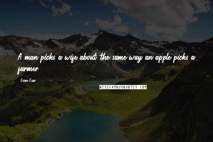 Evan Esar Quotes: A man picks a wife about the same way an apple picks a farmer.